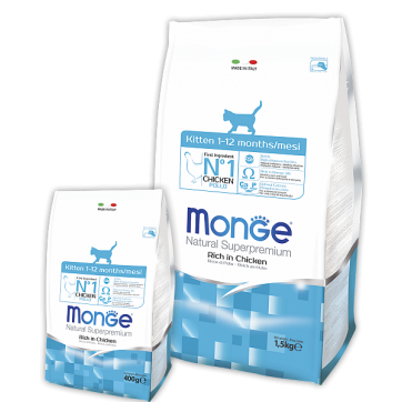 Monge Cat Daily Line Kitten