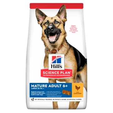 Hill's SP Adult 6+ Large