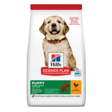 Hill's SP Puppy Large Breed